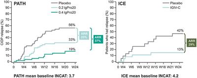 Individualizing Therapy in CIDP: A Mini-Review Comparing the Pharmacokinetics of Ig With SCIg and IVIg